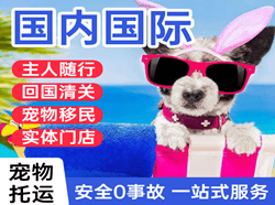 敦煌航空托运国际宠物托运 【国